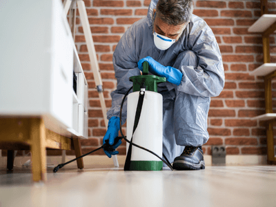 About Bed Bug Heat Treatment Worcester - bed bug heat treatment experts in Worcester