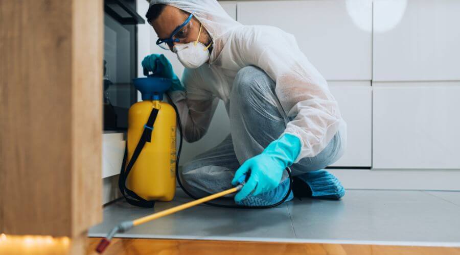 Professional bed bug heat treatment services in Worcester - Bed Bug Heat Treatment Worcester