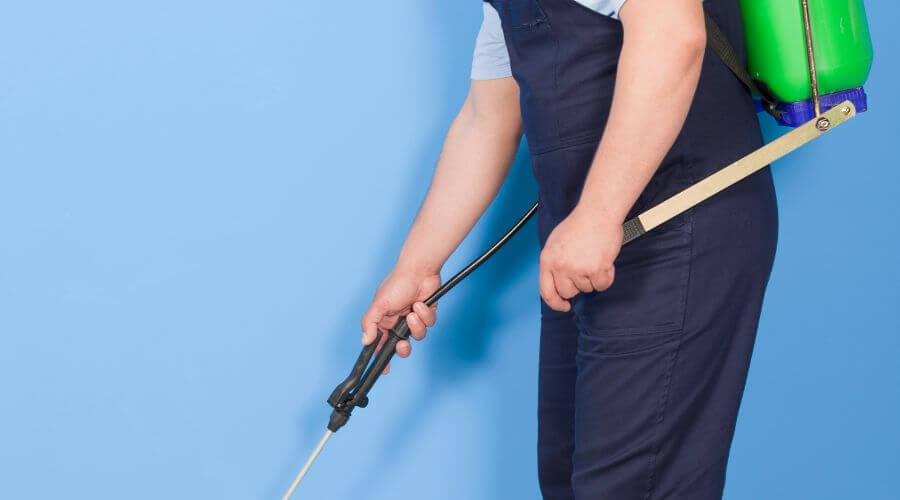 Why choose Bed Bug Heat Treatment Worcester for bed bug heat treatment in Worcester